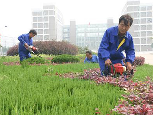 綠化養(yǎng)護